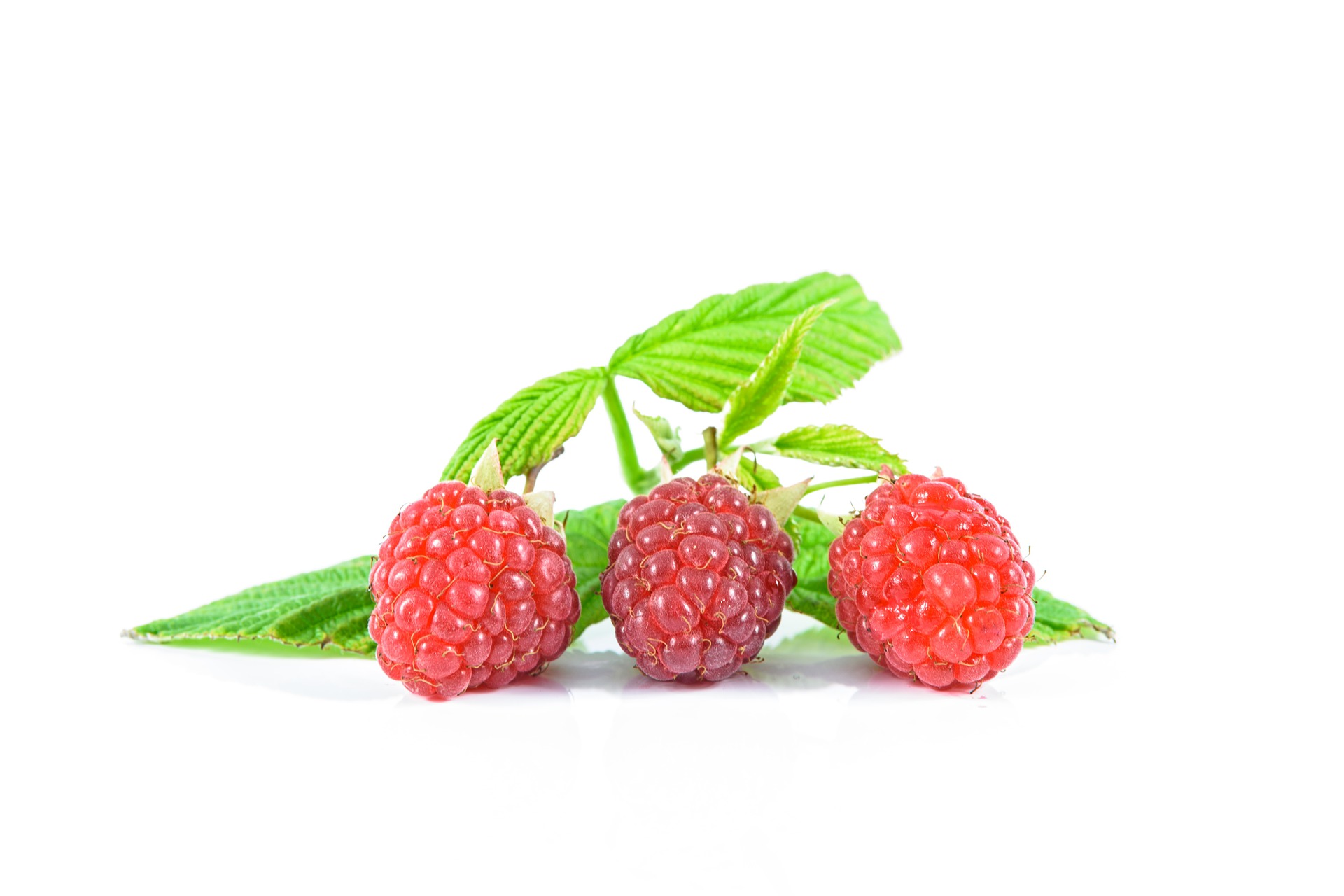 ripe-raspberries-1519363_1920.jpg